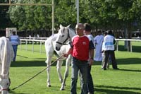 IMG_3342