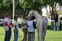 IMG_3360