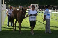 IMG_3365
