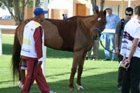 IMG_3389
