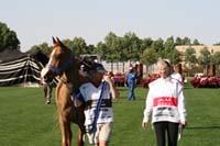 IMG_3397