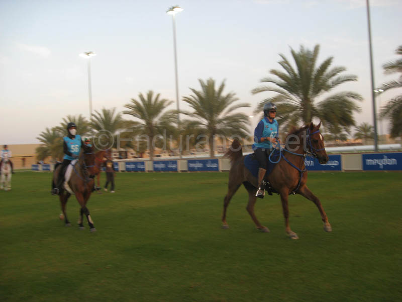 0902UAE_227