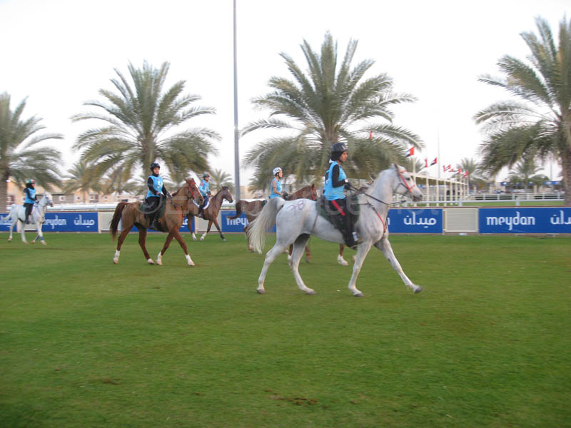 0902UAE_229