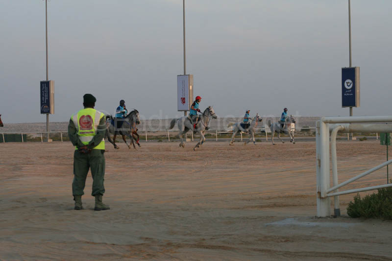 0902UAE_233