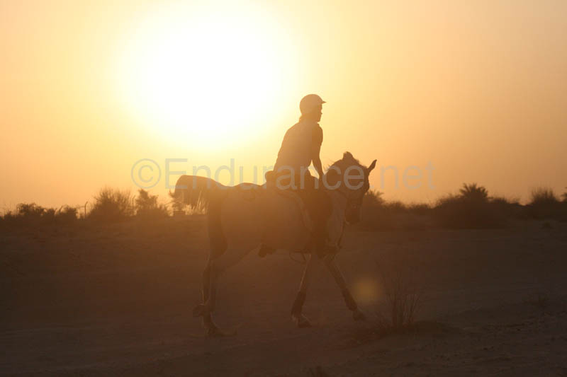 0902UAE_243