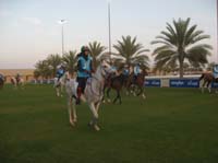 0902UAE_224