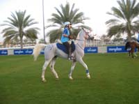 0902UAE_226