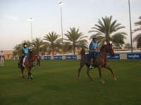 0902UAE_227