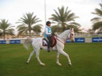 0902UAE_228