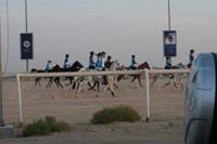 0902UAE_235