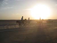 0902UAE_242