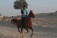 international/UAE/2009LadiesChallenge/gallery/01/thumbnails/0902UAE_266.jpg