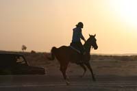 international/UAE/2009LadiesChallenge/gallery/01/thumbnails/0902UAE_275.jpg