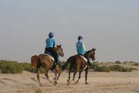 international/UAE/2009LadiesChallenge/gallery/01/thumbnails/0902UAE_315.jpg