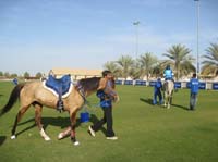 0902UAE_321