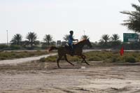 0902UAE_324