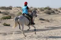 0902UAE_327