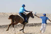 international/UAE/2009LadiesChallenge/gallery/02/thumbnails/0902UAE_331.jpg