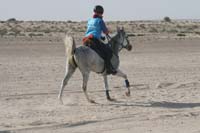 international/UAE/2009LadiesChallenge/gallery/02/thumbnails/0902UAE_339.jpg