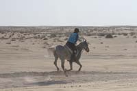 0902UAE_343