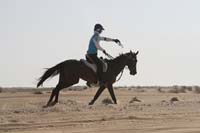 0902UAE_347