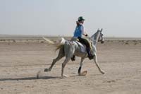 international/UAE/2009LadiesChallenge/gallery/02/thumbnails/0902UAE_358.jpg