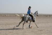 0902UAE_358