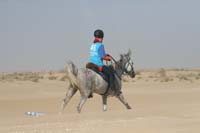 international/UAE/2009LadiesChallenge/gallery/02/thumbnails/0902UAE_362.jpg