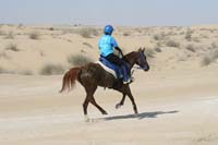 international/UAE/2009LadiesChallenge/gallery/02/thumbnails/0902UAE_363.jpg