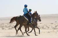 international/UAE/2009LadiesChallenge/gallery/02/thumbnails/0902UAE_375.jpg