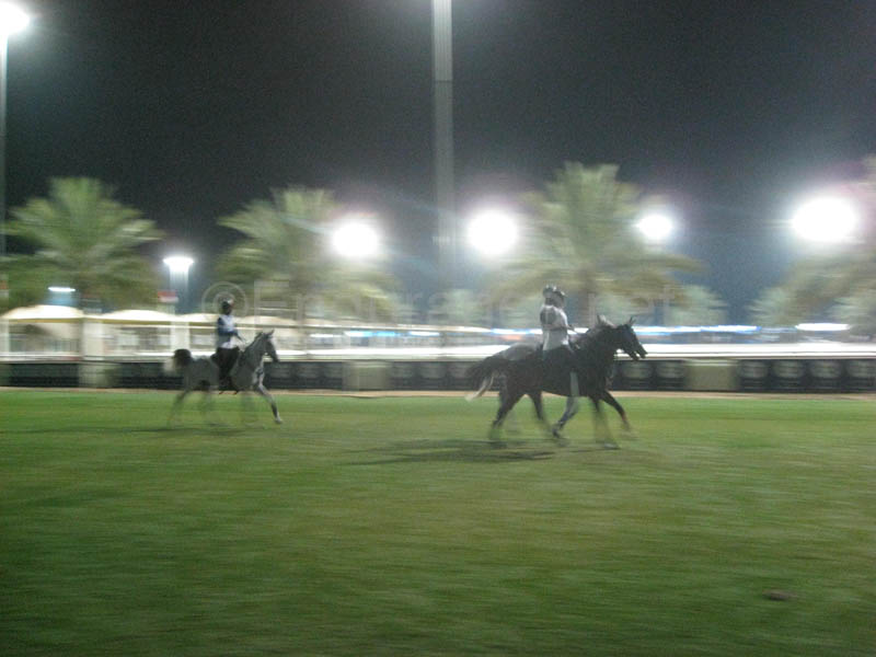 0902UAE_077