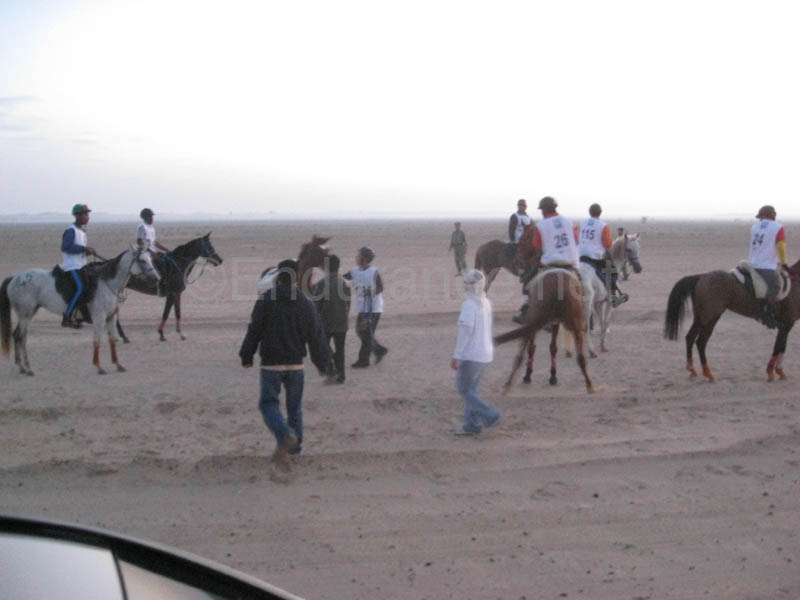0902UAE_081