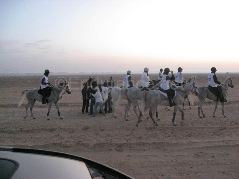 0902UAE_082