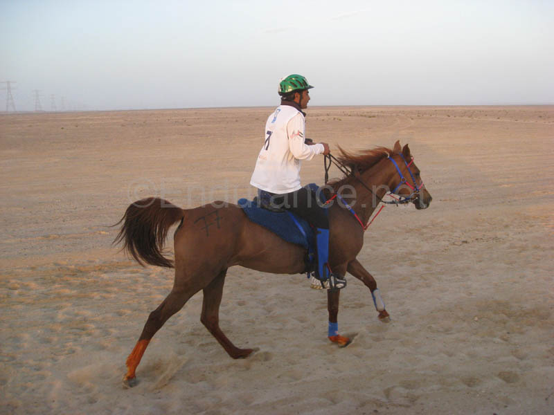 0902UAE_087A