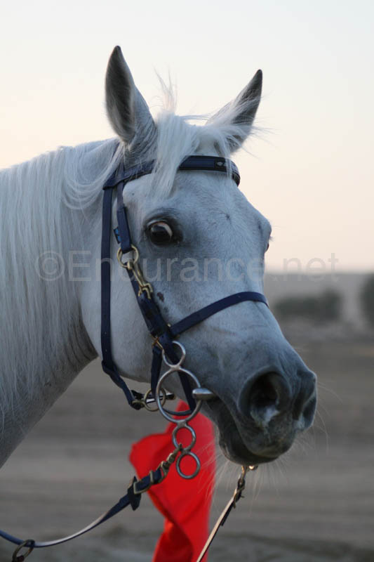 0902UAE_089