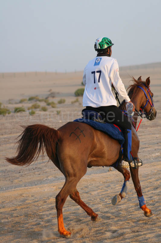 0902UAE_090