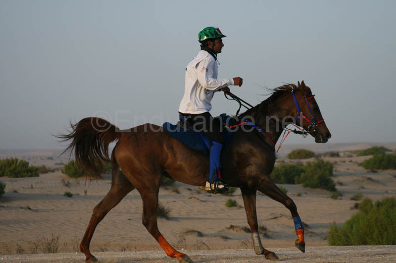 0902UAE_091