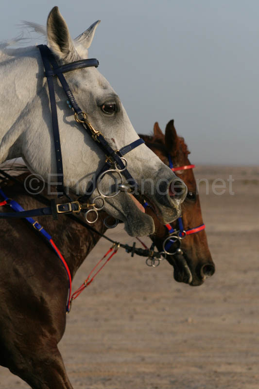0902UAE_095