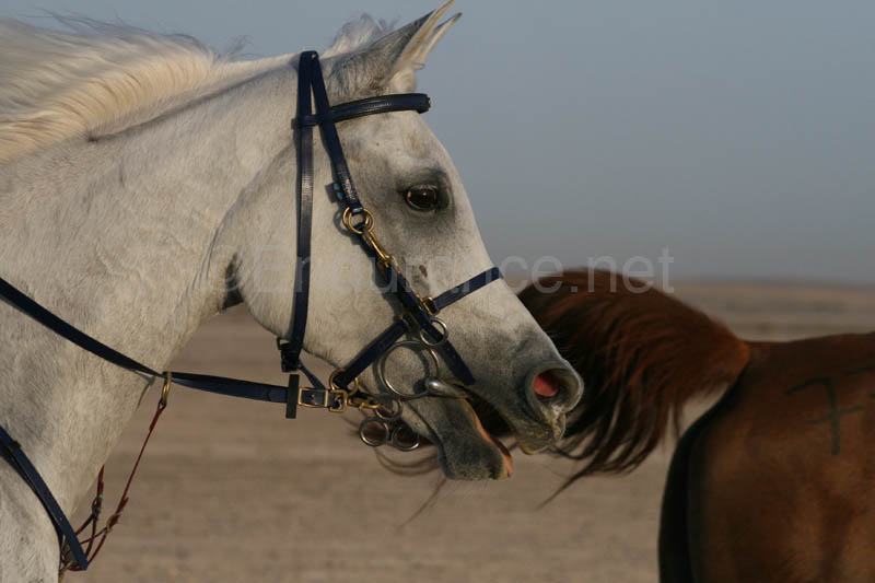 0902UAE_096