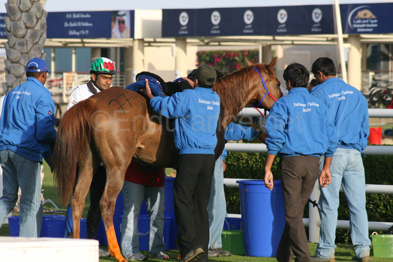 0902UAE_102