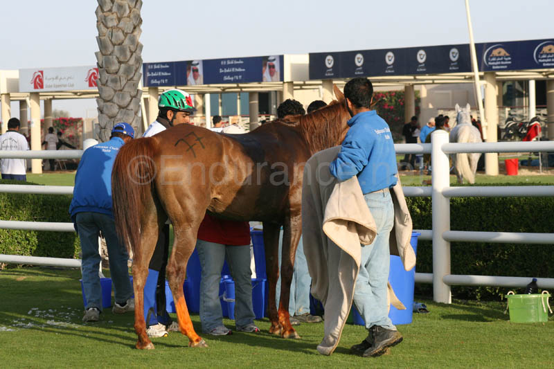 0902UAE_103