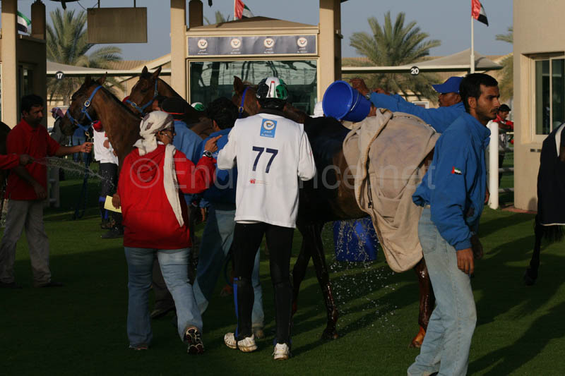 0902UAE_104