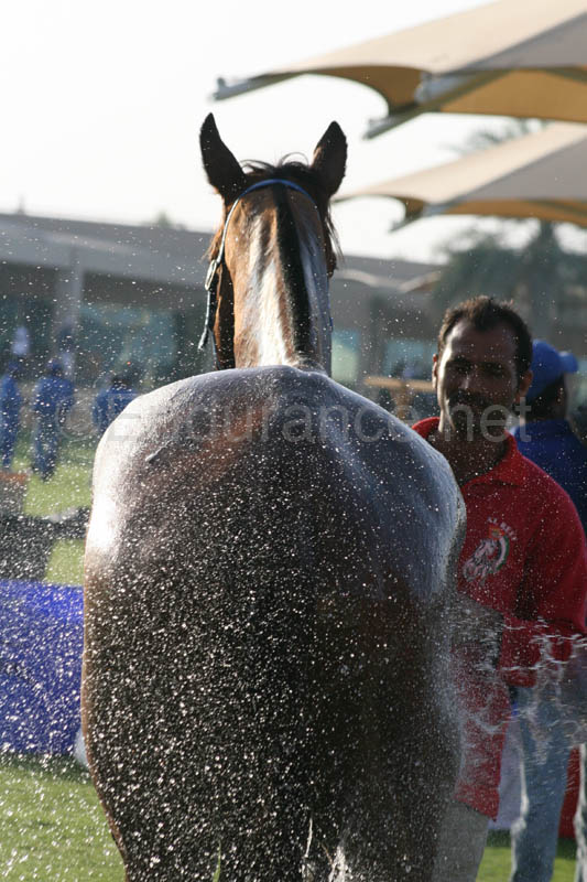 0902UAE_105