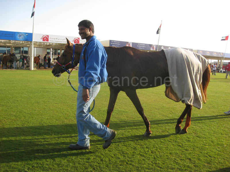 0902UAE_107A
