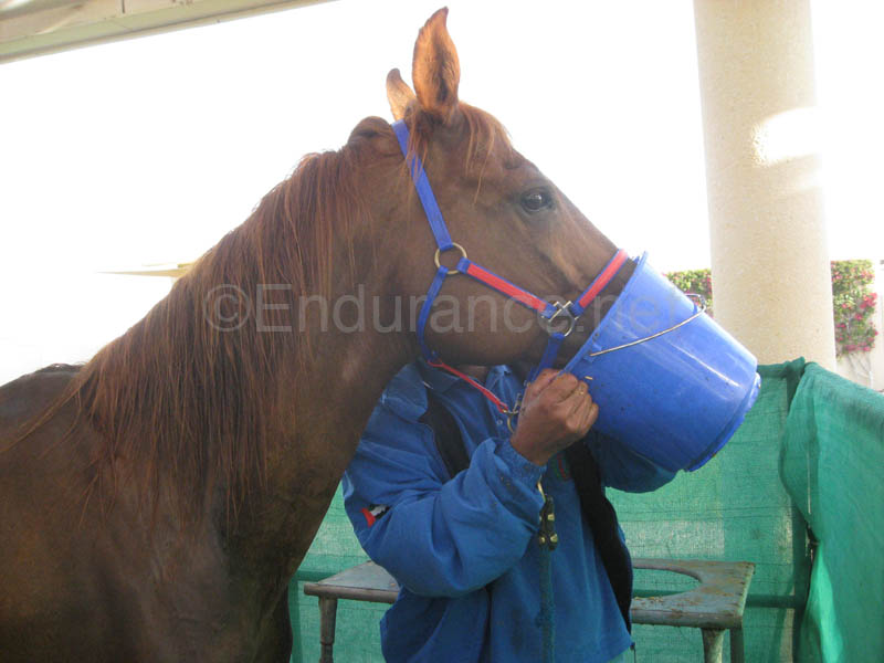 0902UAE_109