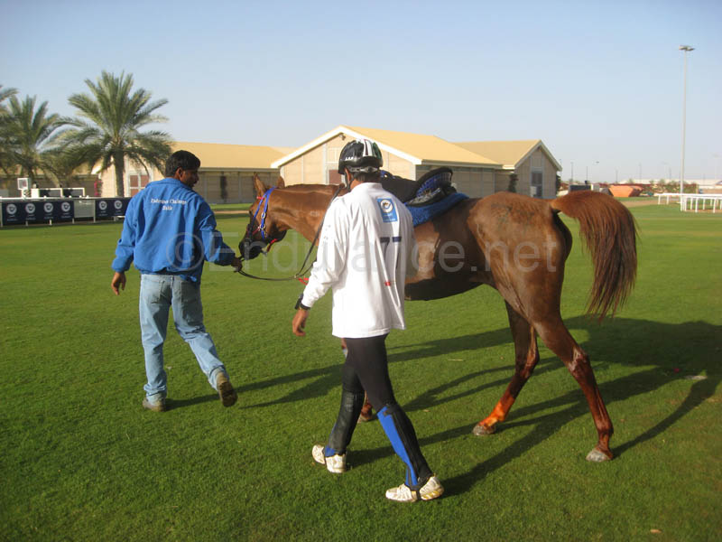 0902UAE_110