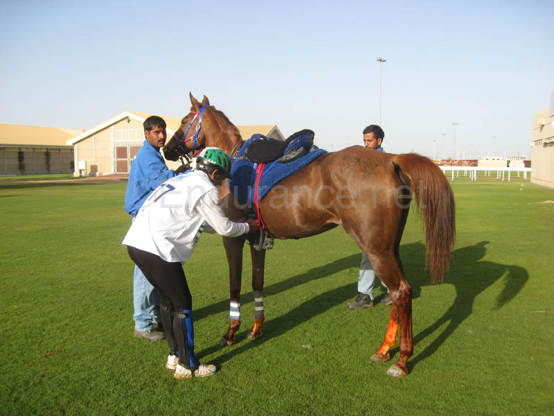0902UAE_111