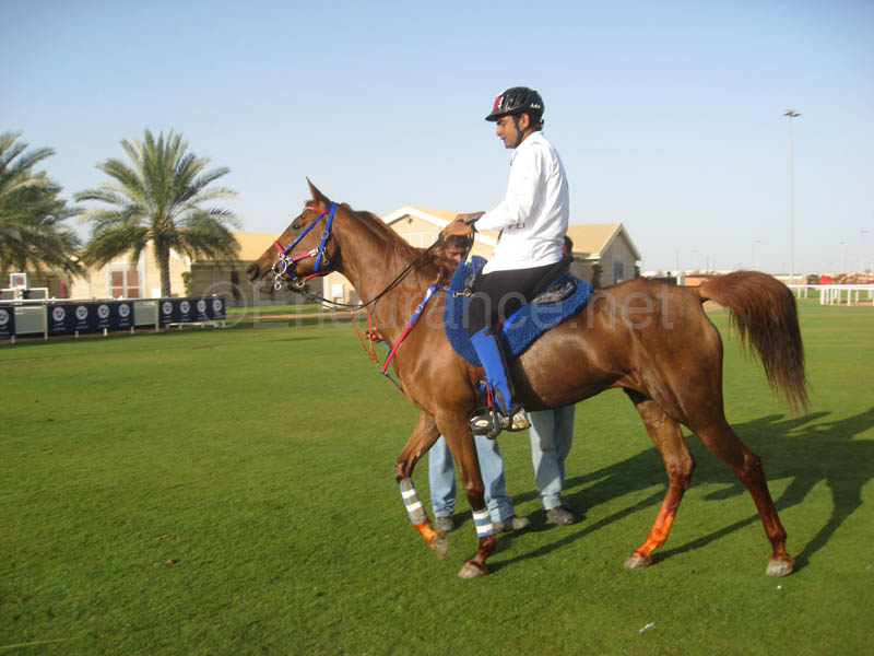 0902UAE_113