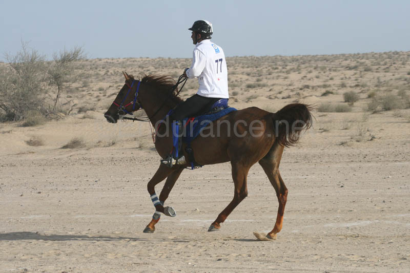 0902UAE_116