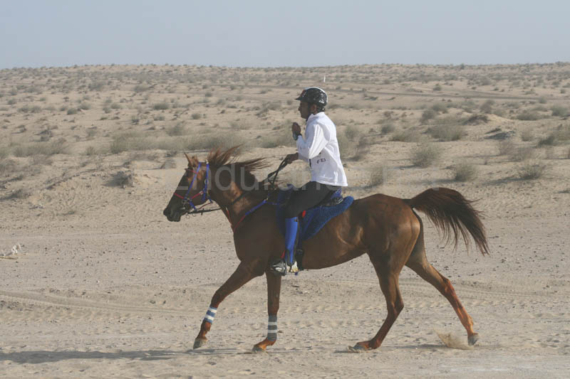 0902UAE_117
